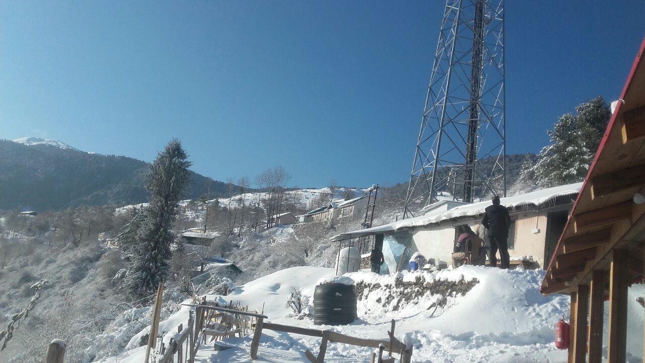 Blue Poppy Resorts Joshimath Bagian luar foto